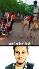 Try to not laugh 🤣🤣😂😂