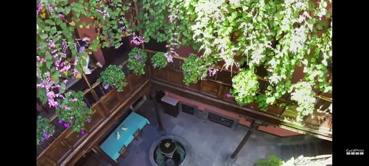 Death Adventure | Death of a Cyclist | Die Hard Cyclist