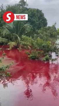 Colouring from factory turns floodwaters red