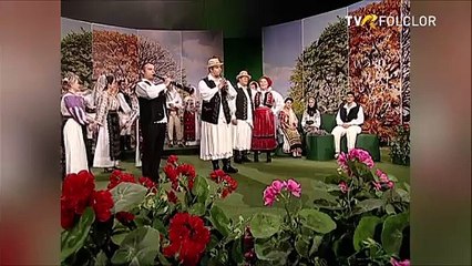 Nicusor Muresan - Fa-ma floarea florilor (Popasuri folclorice - TVR - 2008)