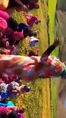 نشاط حتى شاط عونيات محيحين ديال بصح