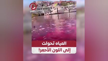 المياه تحولت إلى اللون الأحمر!