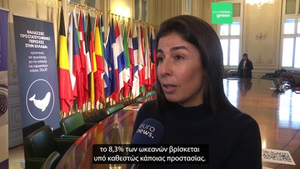 WWF & GREENPEACE: Προστατευόμενες Θαλάσσιες Περιοχές μόνο «στα χαρτιά» - Ποια μέτρα προτείνουν