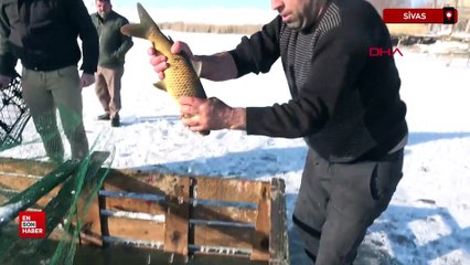 Sivas'ta Eskimo usulü balık avı