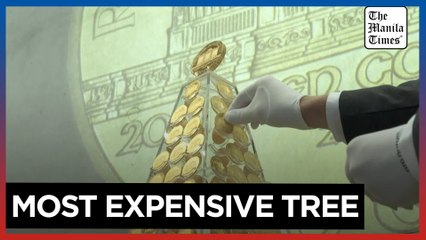 Europe's most expensive Christmas tree goes on display in Munich