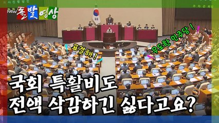 [돌발영상] 국회 특활비도 전액 삭감하긴 싫다고요? / YTN