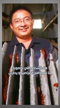 الصراصير مصدر أساسي للبروتين والحديد و الفيتامينات