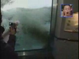 Ours polaire attaquant un phoque humain