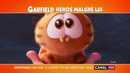 Garfield : Héros Malgré Lui