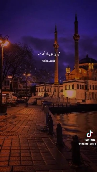 new night song