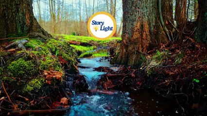 The Boy and the Starfish _ spoken english learning videos _ how to learn english speaking easily