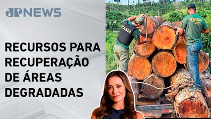 Programa de conservação do Ibama está travado; Patrícia Costa analisa