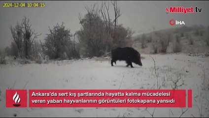 Yer: Ankara! Görüntüler şaşırttı