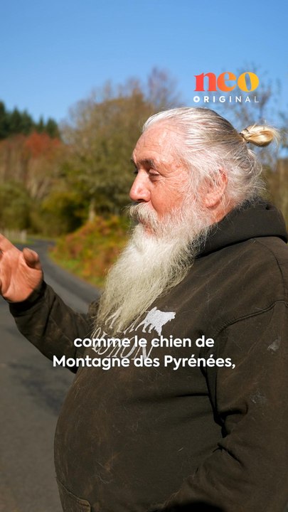 Après une reconversion, René est devenu éleveur de Montagne des Pyrénées, plus connus sous le nom de patou. Pour neo, il partage sa passion et l’amour qu’il porte à ses chiens. 🐶