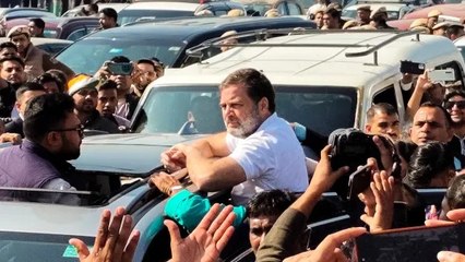 संभल नहीं पहुंच पाए राहुल गांधी, गाजीपुर बॉर्डर पर रोका काफिला, वापस दिल्ली लौटे