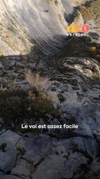 « En fait, ça apporte quelque chose dans la vie de tous les jours parce ce que sauter d’une falaise, ce n’est pas anodin ». Nicolas pratique le wingsuit depuis une vingtaine d’années. Il nous a emmené voler avec lui.