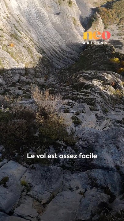 « En fait, ça apporte quelque chose dans la vie de tous les jours parce ce que sauter d’une falaise, ce n’est pas anodin ». Nicolas pratique le wingsuit depuis une vingtaine d’années. Il nous a emmené voler avec lui.