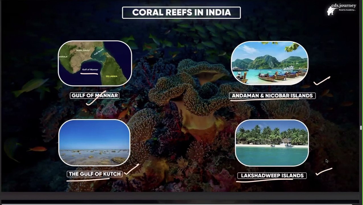 23-10-2024-corealreefs
