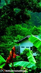Importance Of Rain In English || part 11....Subscribe for contents. #shorts #nature #relaxing #relax