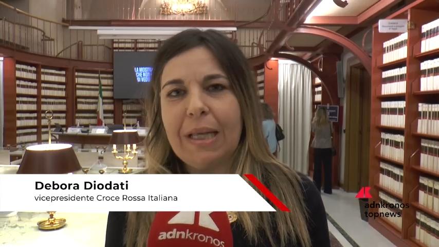 Video Disabilità, Diodati (Croce Rossa): \