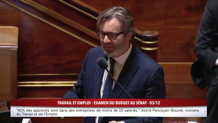100% Sénat - Budget 2025 : examen de la mission travail et emploi