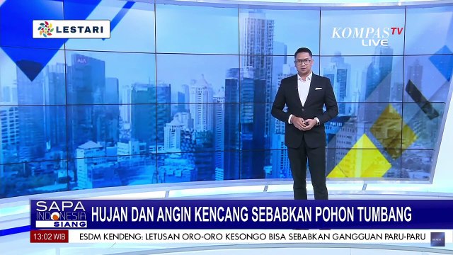 Hujan Deras dan Angin Kencang, Pohon Tumbang di Jakarta Barat Tutup Jalan dan Picu Kemacetan
