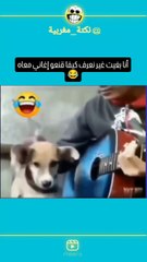 نكة مغربية  18 - خلي معك أبوني مزال الجديد 🤣🤣__جميع أنواع العطور لرجال والنساء__store_afna.nbeauty2__._._._____▪️__الشباب _(