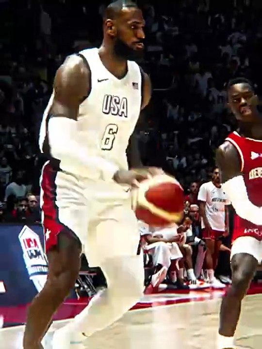 LeBron Skills | GOAT
