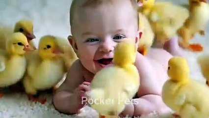 Babies and Little Animals – The Cutest Playtime Ever!