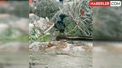 Mersin'de 12 Metre Derinliğindeki Kuyudan Kurtarma Operasyonu