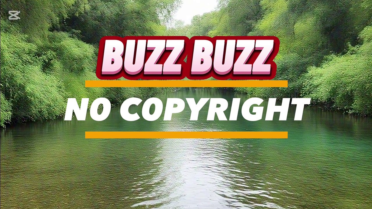 Buzz buzz music only $60