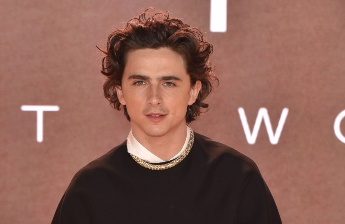 Timothée Chalamet a proposé de payer l'amende infligée à l'organisateur d'un concours de sosies