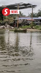 Help us, say flood victims of Sikh  Settlement in Tanjung Tualang