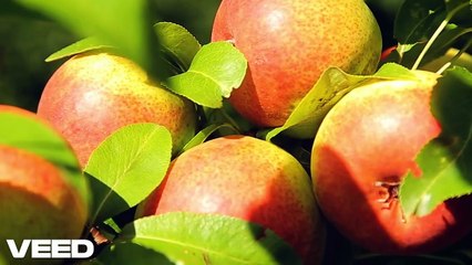 Unlocking A_ The Apple Adventure!-VEED