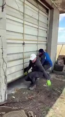 This guy found expensive cars inside the garage(360P)