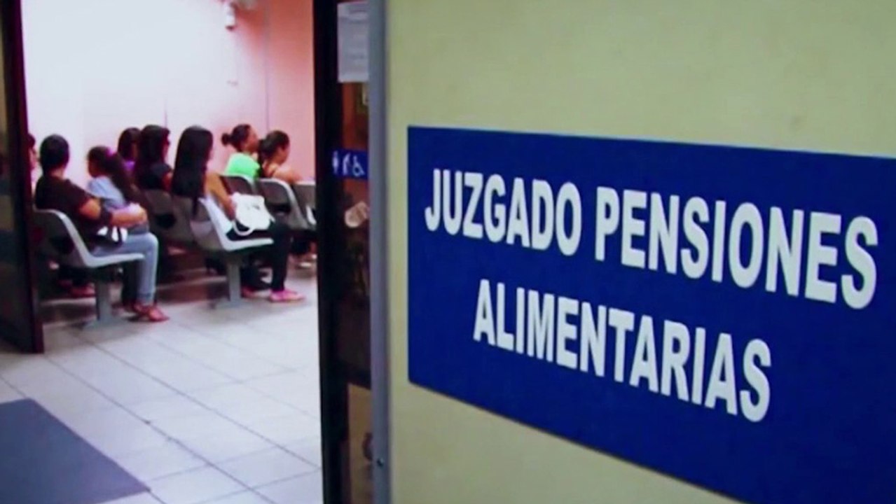 bd-factores-para-considerar-sobre-la-pension-alimentaria-041224