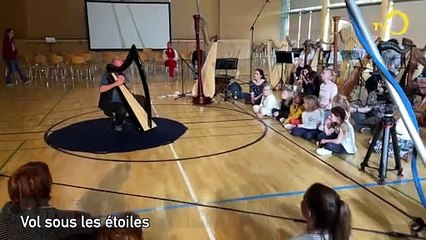 Sans commentaire: harpe