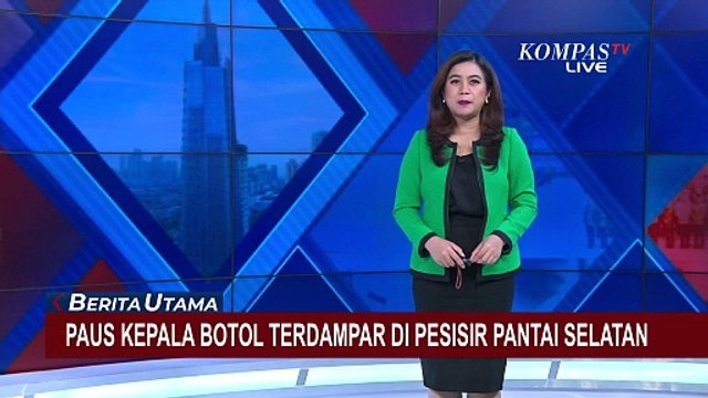 Heboh! Nelayan Temukan Bangkai Paus Terdampar di Pesisir Pantai Selatan