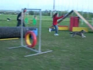 City Agility au club 6 Mois