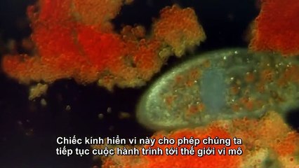 Hành trình Vũ trụ
