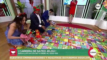 Carrera de gateo Jelou! 04 de diciembre