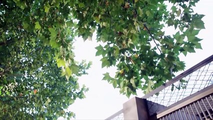 Nữ Cảnh Sát Và Cảnh Khuyển - Tập 18 _ Phim Truyền Hình Trung Quốc _ Phim Tình Cảm Cảnh Sát