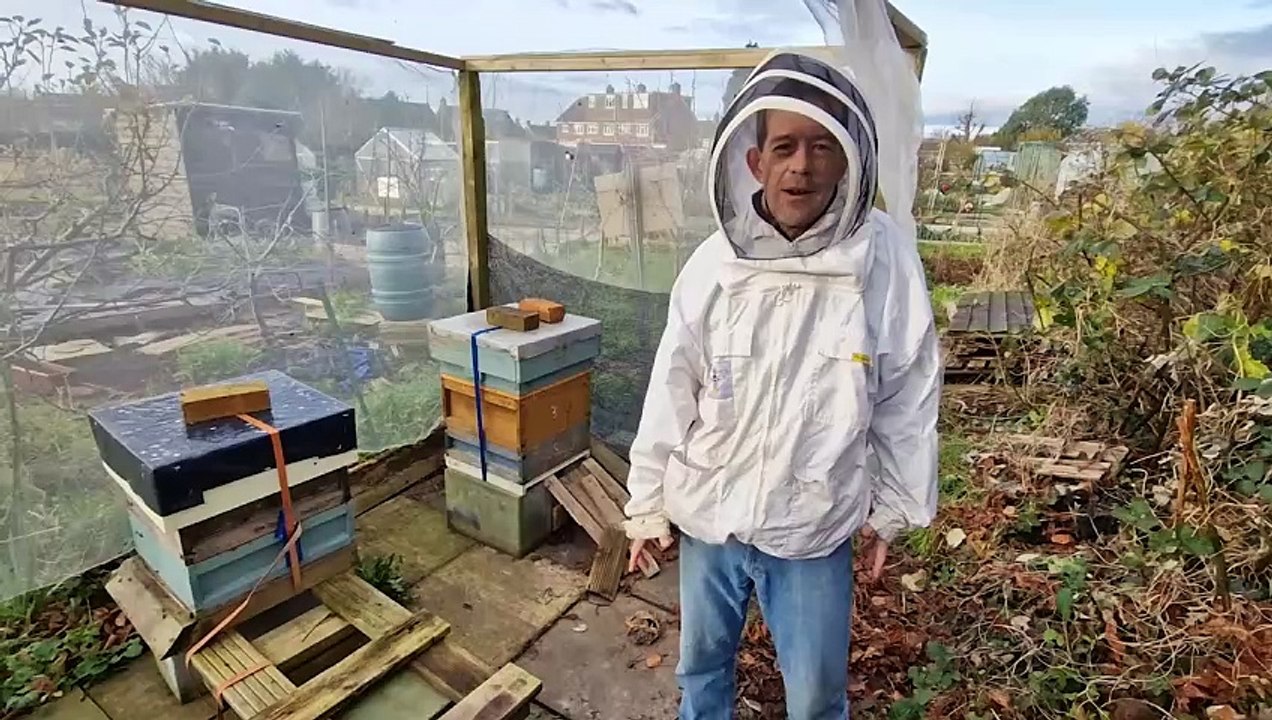Bees not welcome at West Sussex allotment in Shoreham