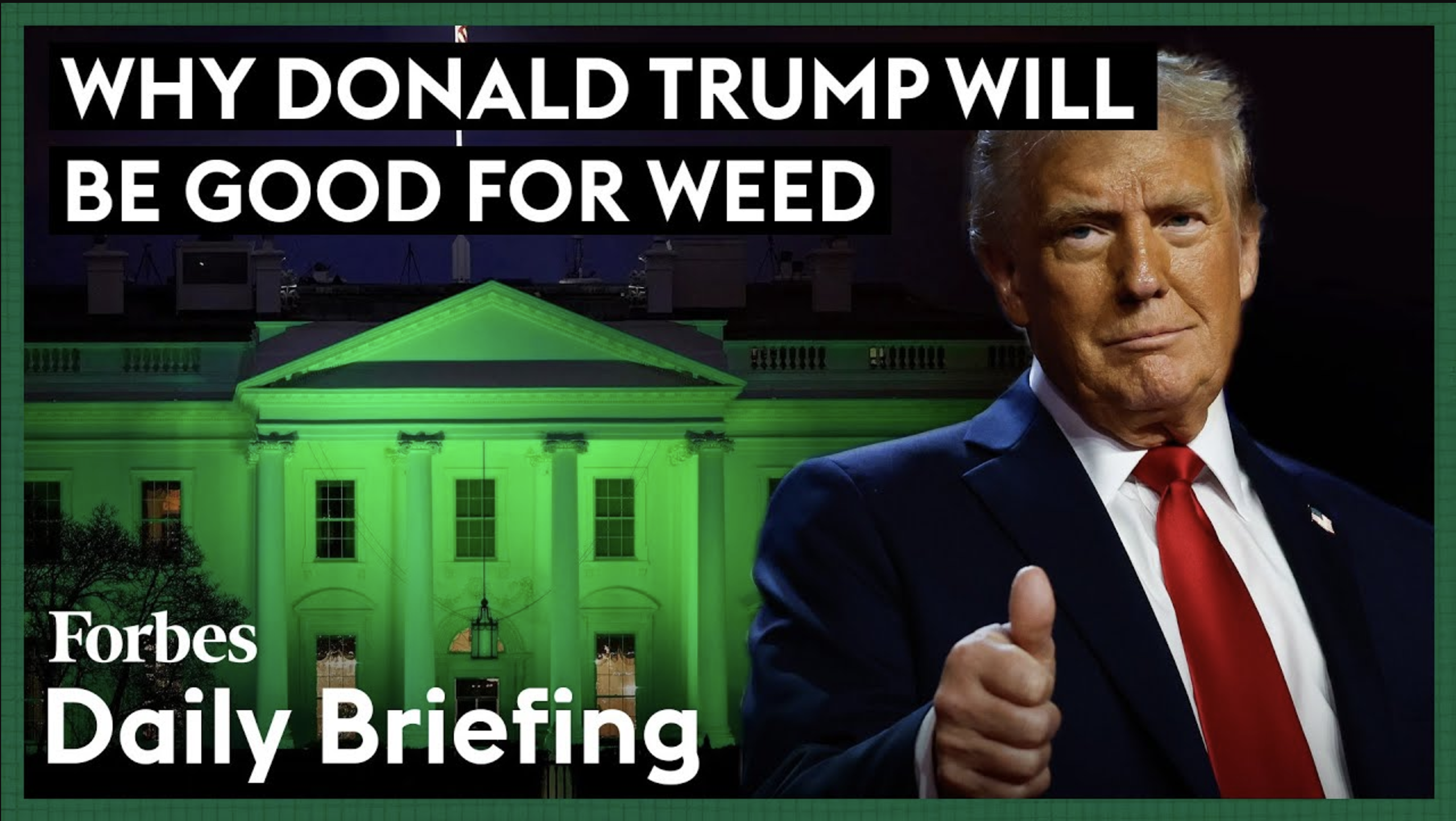 The Positive Impact of Donald Trump on Marijuana