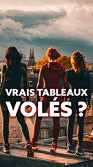 Des VRAIS tableaux volés dans CAT'S EYES ?