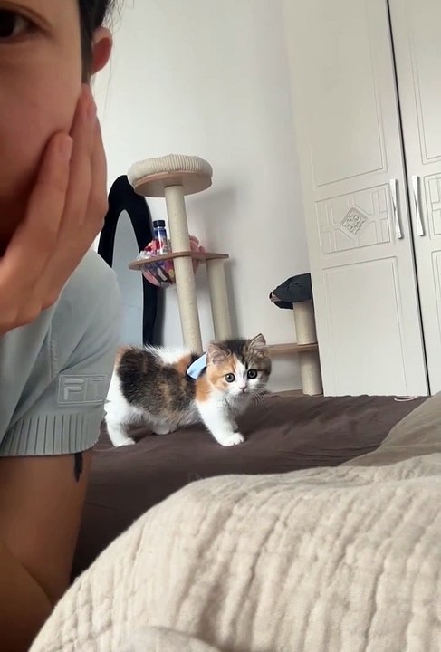 Cute animals | funniest animals  #cutepets #animal #cuteanimals #funnyanimals #funny