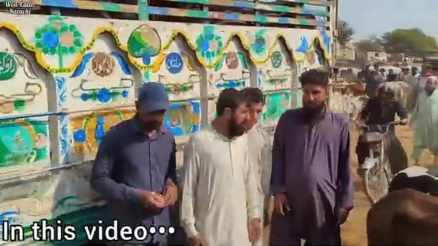 Bhains Colony Mandi Karachi Cattle Latest Rates Update 4 December 2024 _ Cow Mandi 2025(360P)
