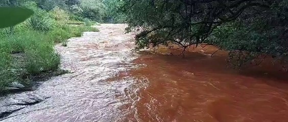 Espuma chama atenção e polícia flagra possível crime de ambiental em Chapecó
