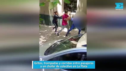 Gritos, trompadas y corridas entre pasajeros y un chofer de colectivo en La Plata