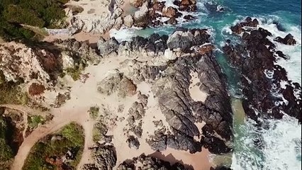 'Salvemos Gota de Leche' - Tráiler Oficial